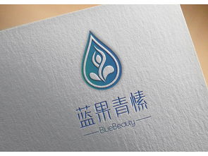 标识设计 从理念到视觉的沟通艺术